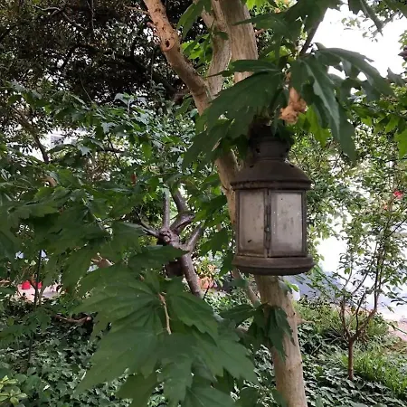 Lägenhet Modernes City-apartment In - Beuys *