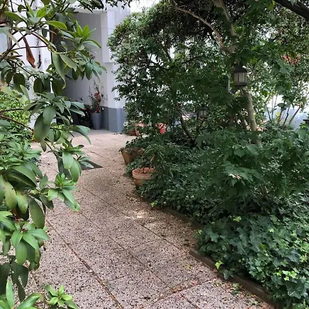 아파트 Modernes City-apartment In - Beuys 크레펠트