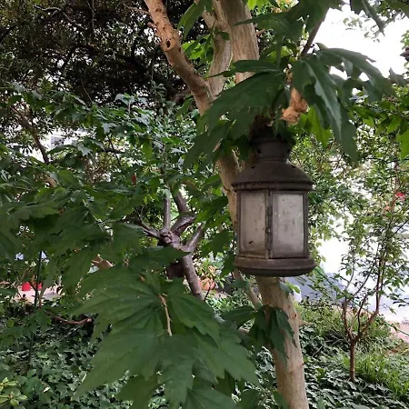 Lägenhet Modernes City-apartment In - Beuys *